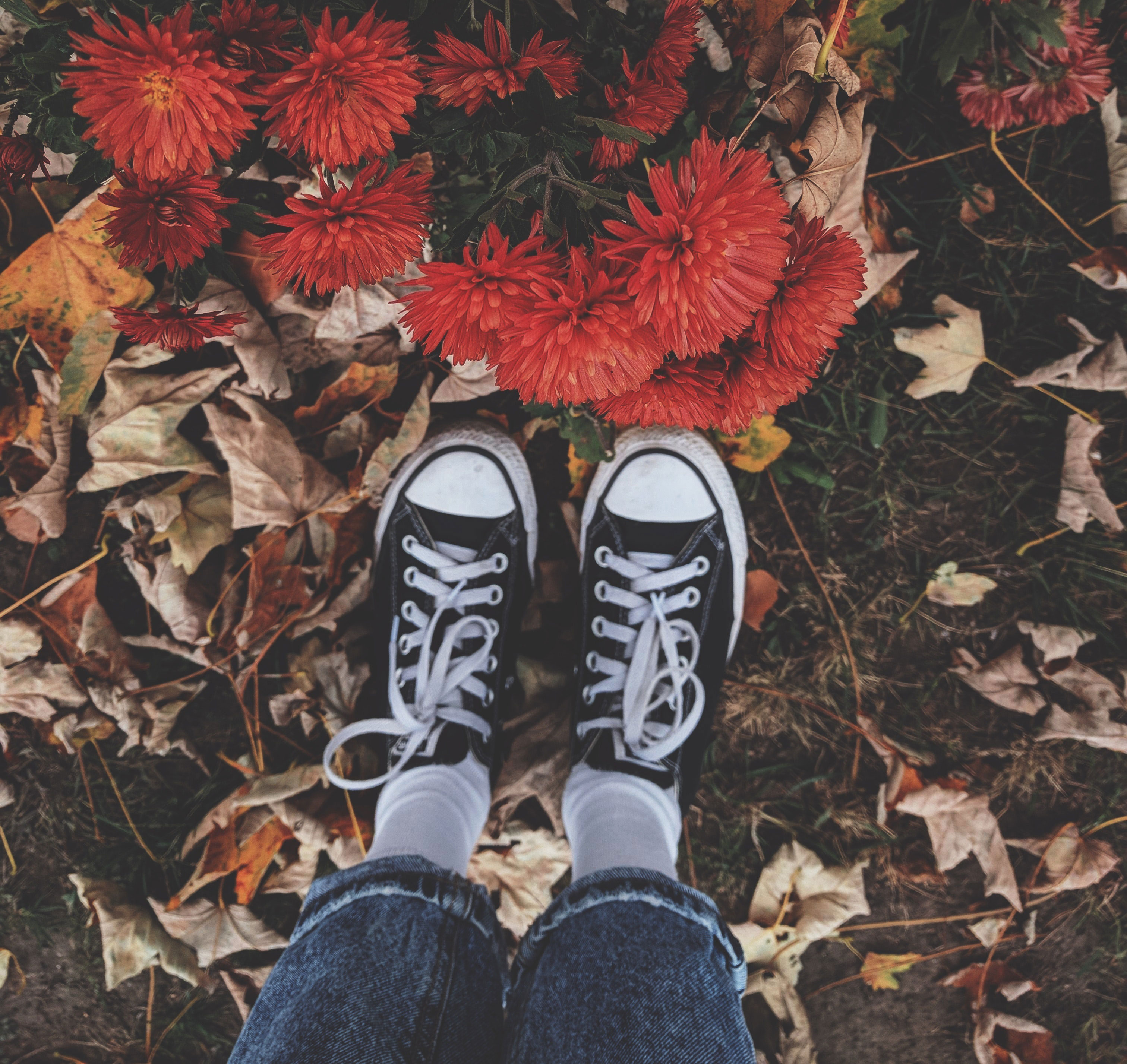 Person standing in leaves with sneakers